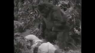 Freddie and The Dreamers - Tell me when (1965)