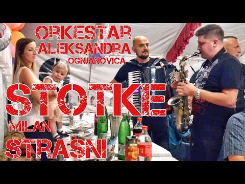 KOLO U PRANJANIMA / Orkestar Aleksandra Ognjanovića STOTKE / Milan STRASNI