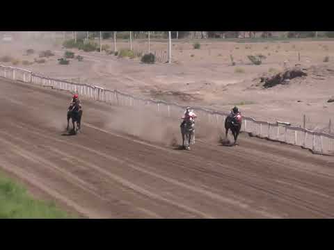 LINDO SUEÑO Club Hipico Añelo, Domingo 12 de enero 2025