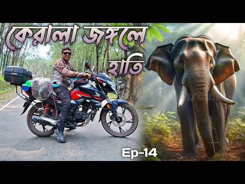 জঙ্গলে হাতির সামনে পড়ে অবস্থা খারাপ || Kolkata To Kanyakumari By Bike || Kanyakumari Bike Ride