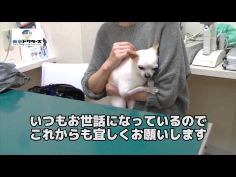 飼い主女性の声