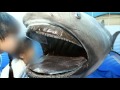 Megalodonte La Leggenda Degli Abissi DMAX