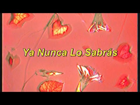 Guillem Roma Ft. Daniel, Me Estás Matando - Ya Nunca Lo Sabrás (Letra)