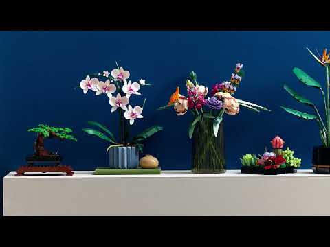 LEGO® Icons Orchidėja (10311) video