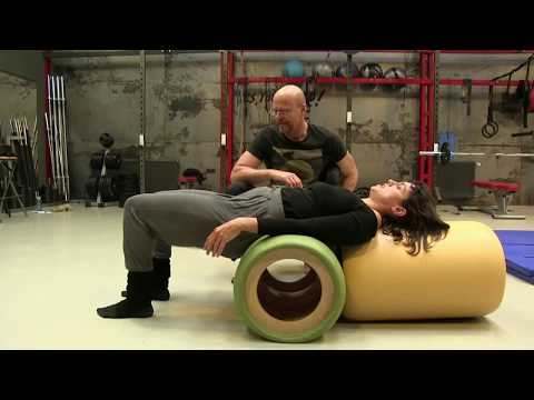 Centar za integrativni razvoj - Laszlo Pinter - Labos II