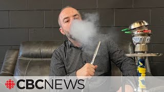 'Let us practise our culture,' shisha lounge owner pleas amid bylaw crackdown