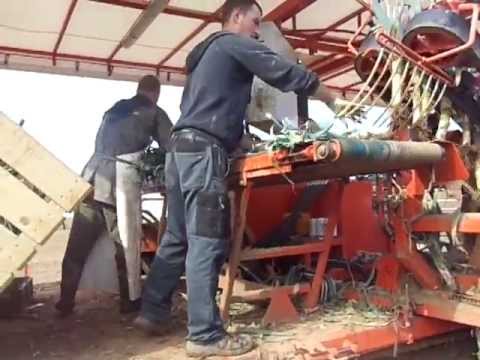 Lauchroder von Lauwers Teil 1