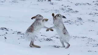 [問卦] 為什麼「性」是一種原罪？