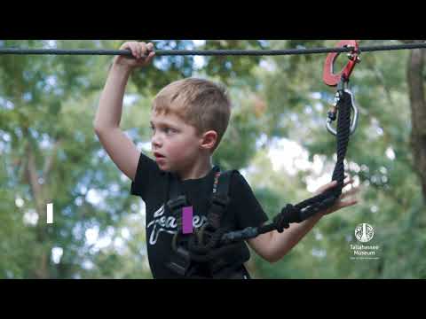 Tallahassee Museum Tree to Tree Adventures Zip-lining