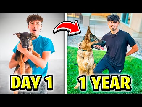 My Dogs 1 Year Transformation!
