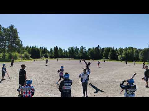 Ypj-Napa-Pesis D-pojat