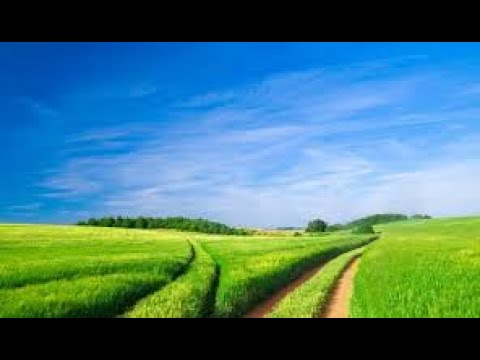 Sennid x Ujut x Pino x Valex - Friends (2015) [Music by Gino Autostrada & Pedro]