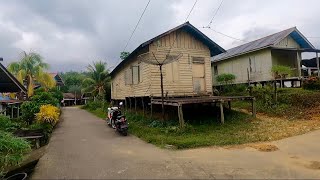 Download lagu The peaceful atmosphere of the Malay village at the tip of the upper Kapuas River with its gold p... mp3