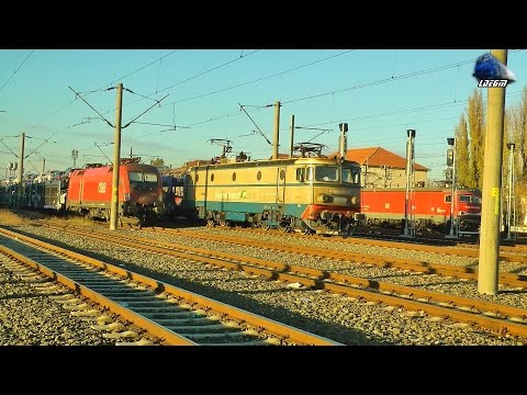 Trenuri & Activitate Feroviara/Trains & Rail Activity in Gara Curtici Station - 11 November 2016