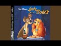 Main Title Bella Notte The Wag Of A Dog S Tail From Lady And The Tramp Soundtrack Version