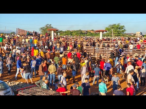 Com o Prof, Salgadinho na Feira do Gado, Toritama, Pernambuco | 20/05/2026
