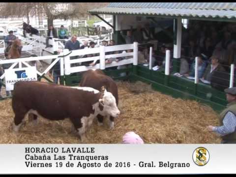 19-08-16 Horacio Lavalle. - Cabaña Las Tranqueras - Gral. Belgrano