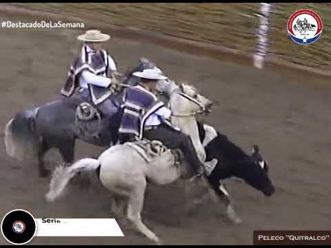 #ElDestacadodelaSemana: Un homenaje al gran Peleco Quitralco