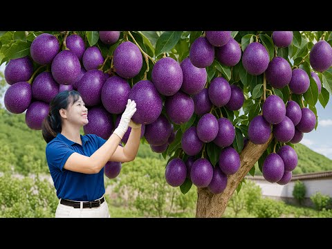 Harvesting Giant Purple Passionfruit & Homemade Yogurt Cake | Secret Traditional Recipe