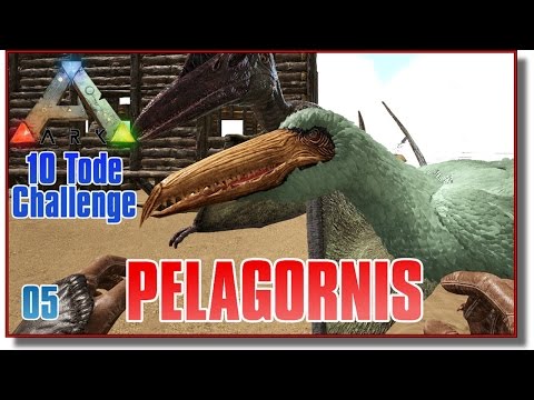 ARK #E05 ♦ PELAGORNIS & PTERANODON TAMING ♦ Let's Play Ark Survival Evolved [Deutsch]