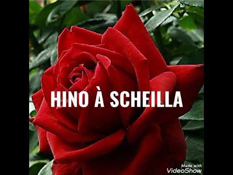 IRMÃ SCHEILLA - Música - Cantinho Musical Jesus Kardec