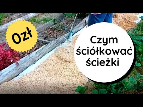 Czym ściółkować ścieżki❓ Zrębki, wióry, trociny, kartony, kora czy agrotkanina na ścieżki w ogrodzie