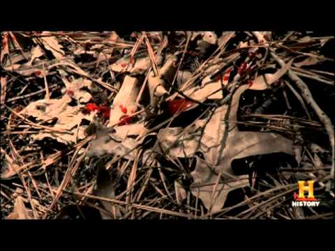 Jurassic Fight Club - Cannibaldinosaurs