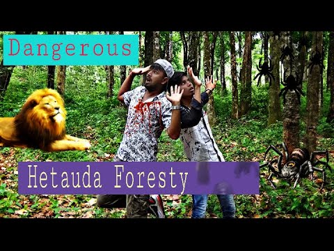 NEW VLOG VIDEO HETAUDA FORESTRY