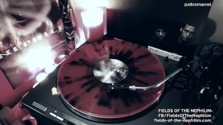 Fields Of The Nephilim - Subsanity ➤ Vinyl Play