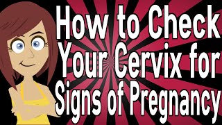 How to Check Your Cervix for Signs of Pregnancy