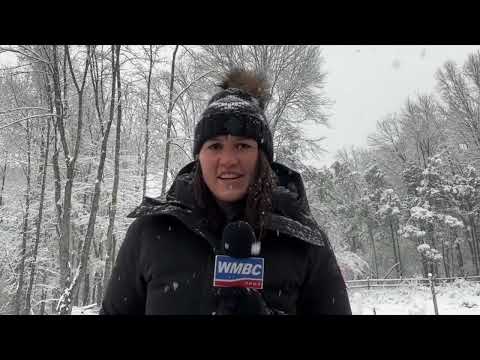 Snow Dig-out, Schools, Forecast