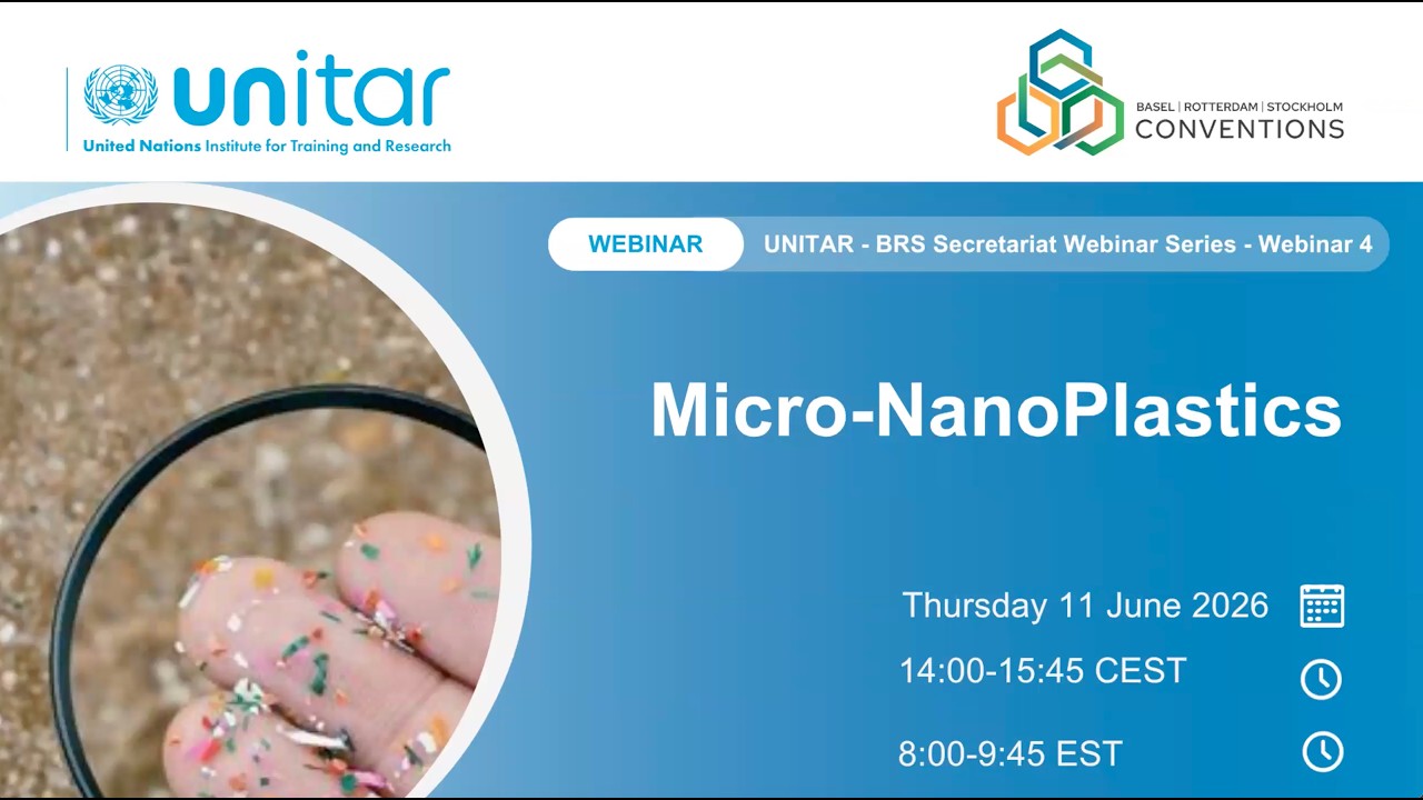 Micro-Nanoplastics: The fate of plastic waste from littering to nanoplastic