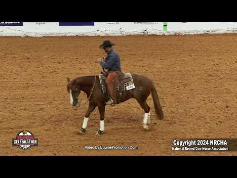 SJR SMOOTH LIL OAK shown by KYLE L NOYCE - 2024 Celebration of Champions (Finals, Open Bridle)