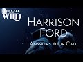 The Call of the Wild | Harrison Ford Answers Your Call