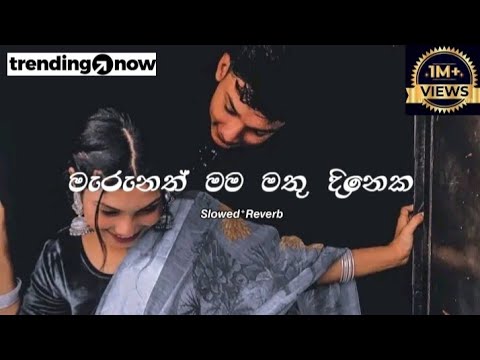 Marunath mama mathu dineka ⎢ මැරුනත් මම මතු දිනෙක ⎢(Slowed ⁺ Reverb)