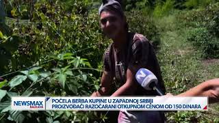 Videomedia Svet — video
