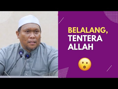 Dua BANGKAI Yang Dihalalkan 