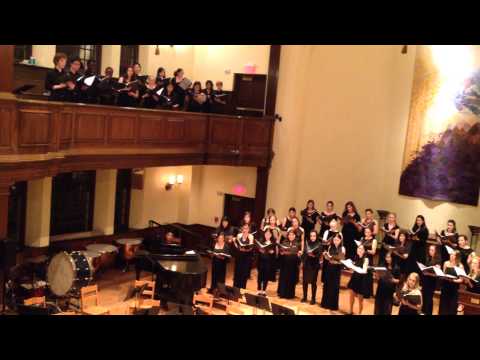 Insanae et Vanae Curae (Franz Joseph Haydn)