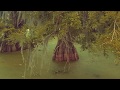 Kevin Anthony & G-Town-Devil in the bayou