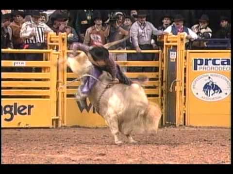 Bucking Bull White Wall