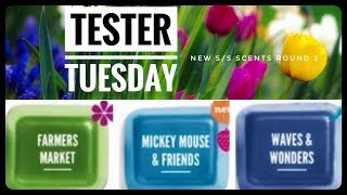 Tester Tuesday ROUND 2 -New Scentsy Spring / Summer Scents