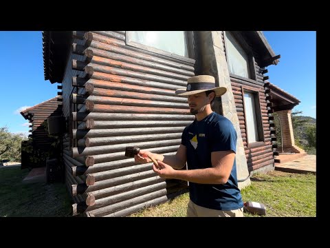 Finishing house painting + Planting broad beans in the garden | Transforming the Farm WEEK 10