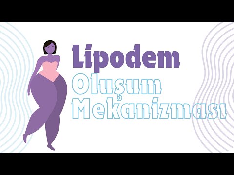 lipodema-formation-mechanism