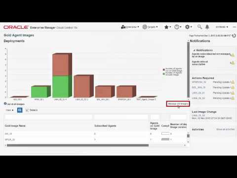 Agent Gold Image Console and its Operations