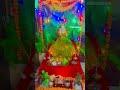 Var Mahalakshmi Pooja Shravan Blessed