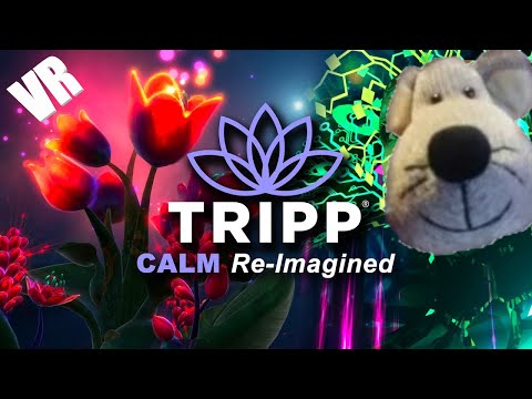 TRIPP VR is Visually Jaw-Dropping 🤩