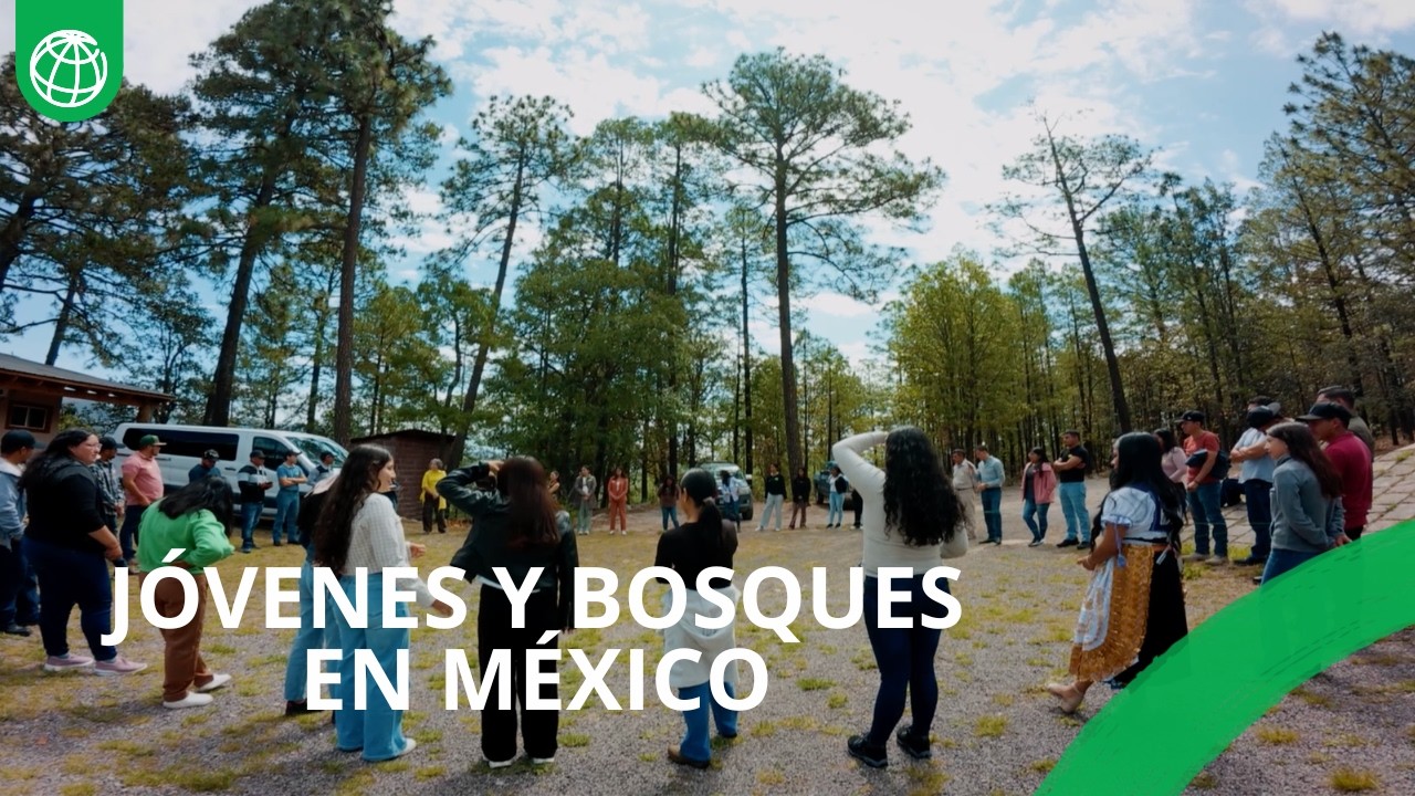 El futuro de los bosques de México no solo se cultiva en la tierra.