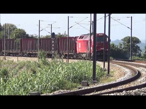 Comboio de Madeira nº 48898 - P.K. 207