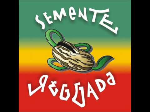 Alicerce Da Paz - Semente Reggada
