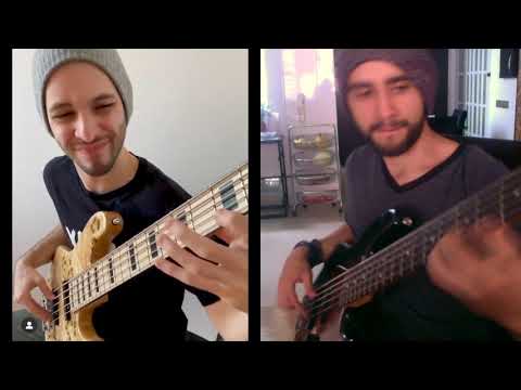 Guy Bernfeld Bass and Wild Bass Cat